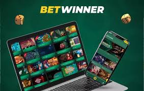 Understanding the Privacy Policy of BetWinner